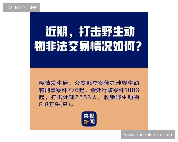 如何正确进入凯发首页地址避免误入非法网站的实用指南