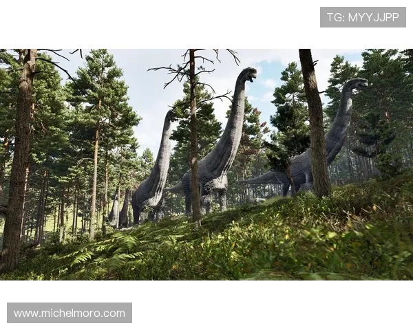 轻松获取星城手机版本下载链接，开启你的冒险之旅